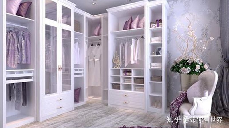 整体衣柜定制加盟代理：揭秘成功之路**